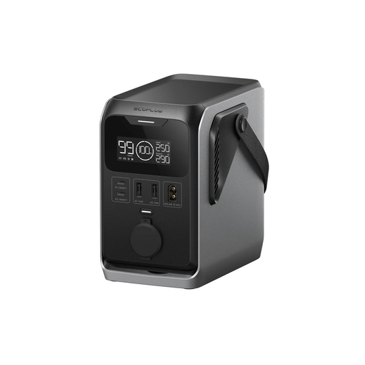 EcoFlow TRAIL 300 DC 288Wh | Portable Power Station | USB-C 140W Kinshasa DRC