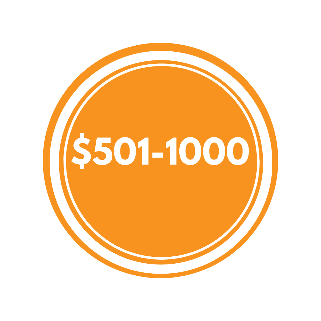 501 - 1000$