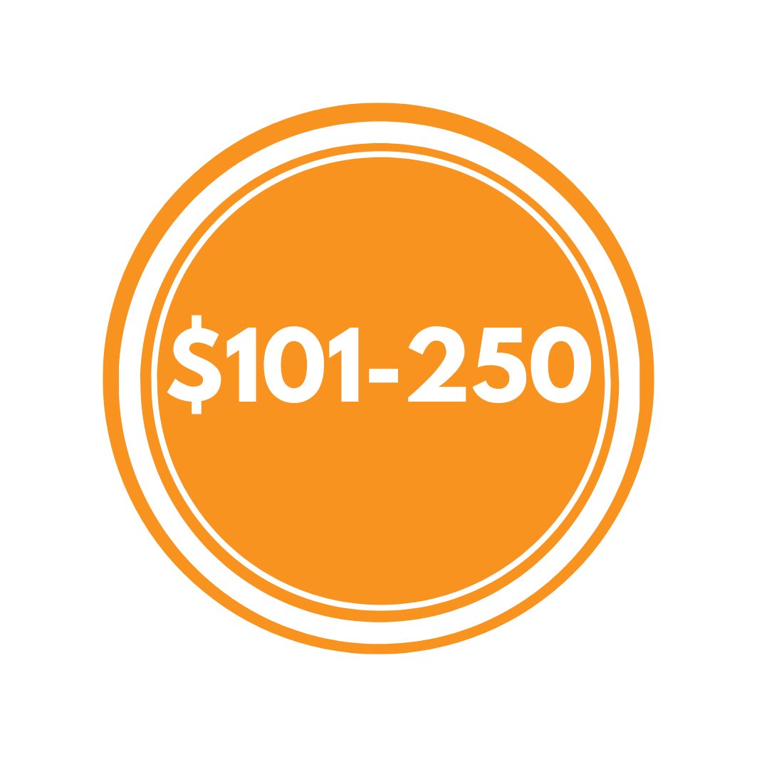 101 - 250$