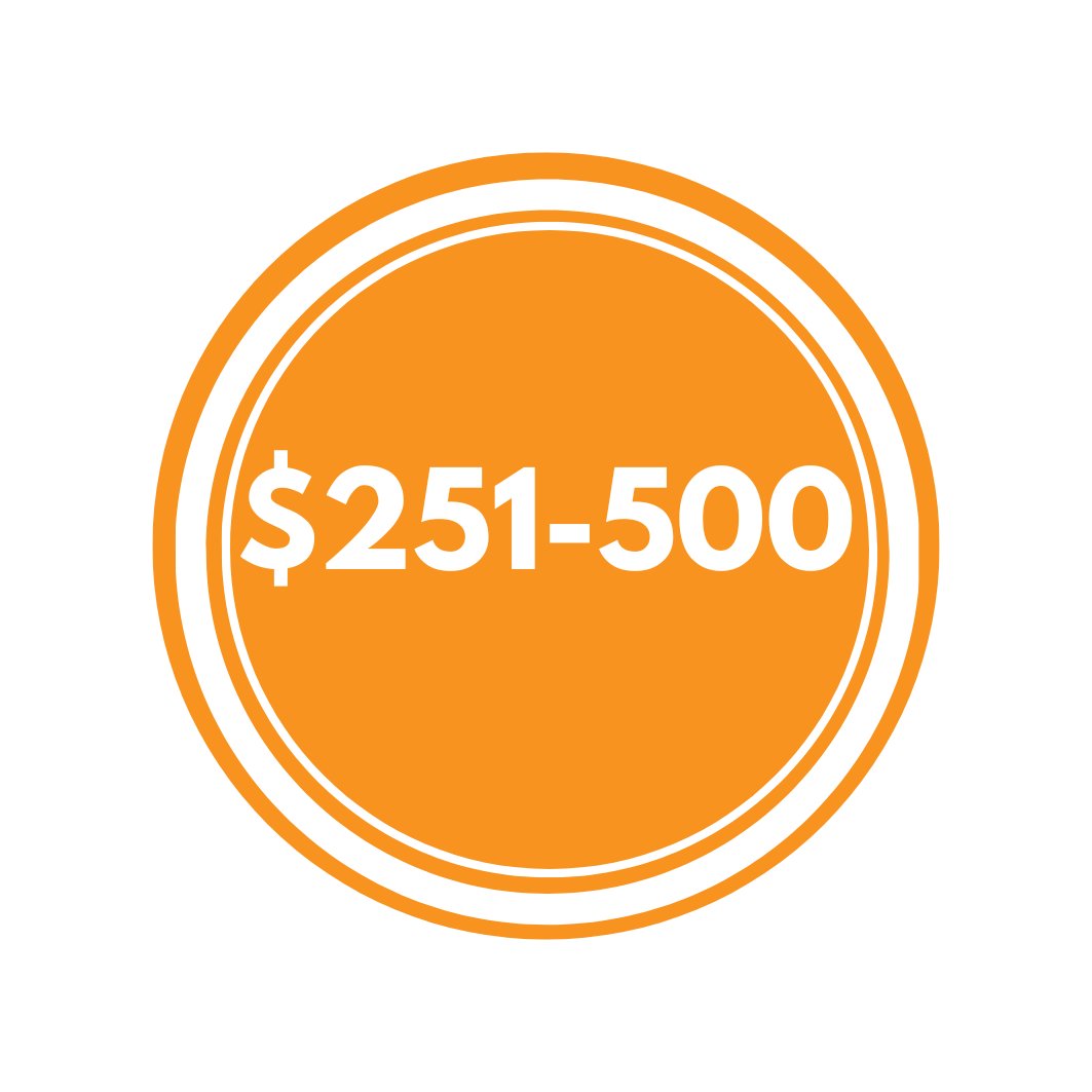 251 - 500$